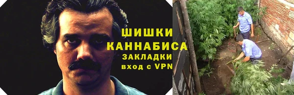 гидра Кулебаки