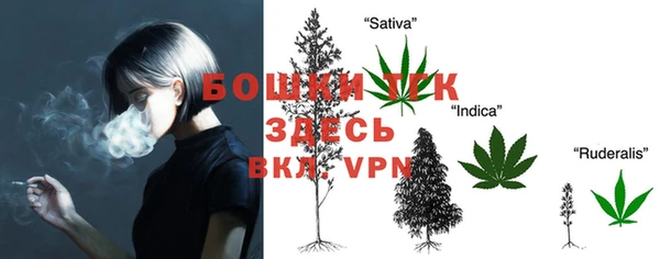 гидра Кулебаки