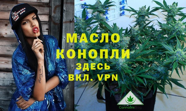 гидра Кулебаки