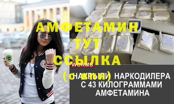 гидра Кулебаки