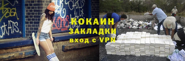гидра Кулебаки